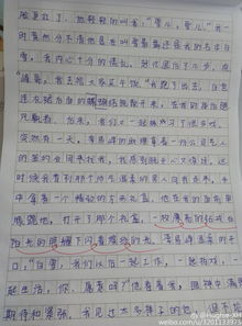 我的校园的作文怎么写,校园小菜园作文怎么写,校园的清晨的作文怎么写