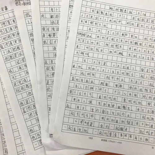 记校园的足球赛作文
