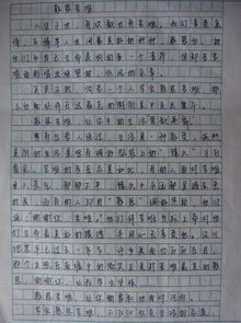 作文,更美好,运动,校园