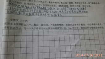 关于校园的小作文200字