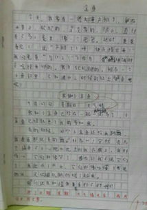 校园的什么作文350