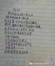 关于校园网络安全的作文600字