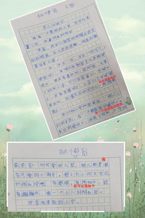 作文,四级,校园生活