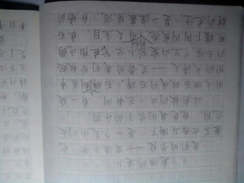 校园一课游400字作文