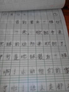 作文,一棵树,校园,字初三