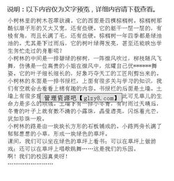 金明小学的校园一角作文