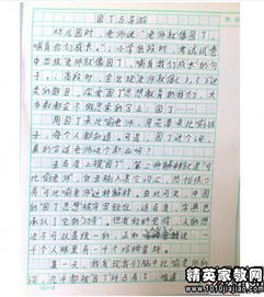 校园的滋味作文700字作文