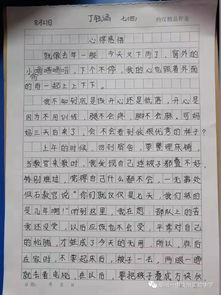 新闻校园七军训作文