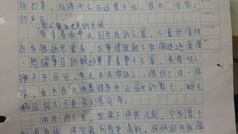 小学生作文下雨天的校园