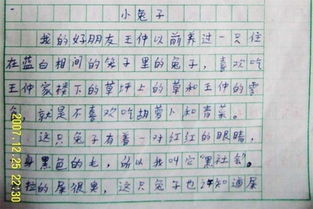 校园一角小池塘的200字作文