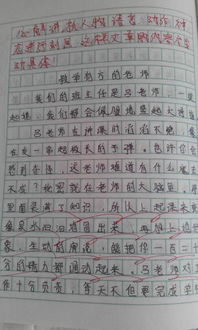 校园文化节作文400字,校园文化节作文600字,校园文化节作文500字