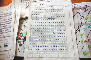 新校园开学作文