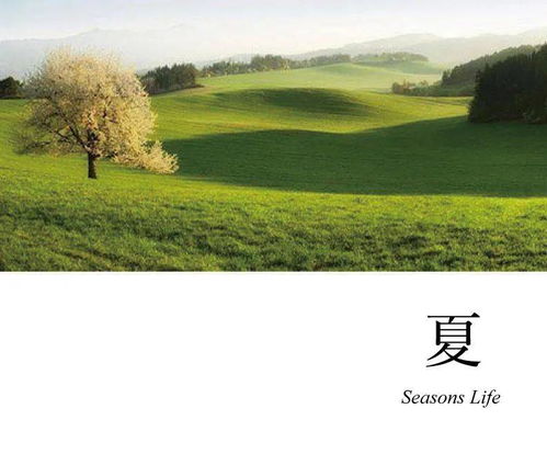 校园的一角植物园作文春夏秋冬