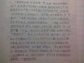 初中作文新校园开头