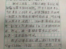 阳光校园作文体育