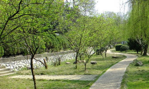 写校园二三事的作文500字作文