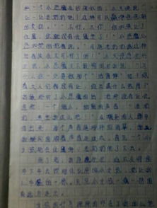 在校园中感人的事作文600字作文