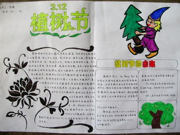 作文,爱护,绿化,环境