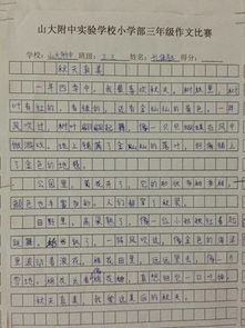 字左右,优秀作文,校园,活动