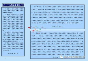 作文,我们一起,走过,真情