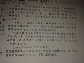 春满校园作文八百字