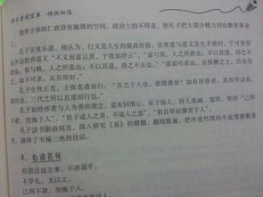 孔子,作文,广场,校园