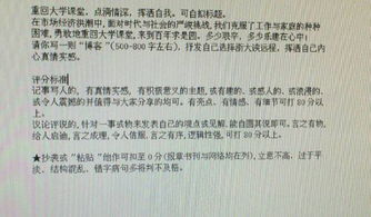 作文我的校园布局