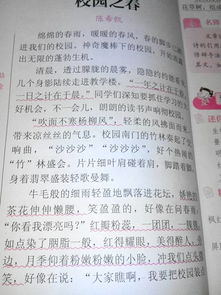 美丽的校园写篇作文200字作文