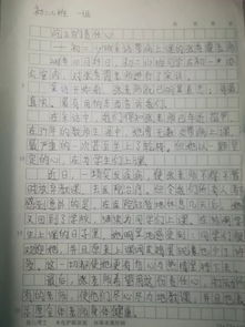 初二语文新闻作文校园发生的事