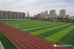 我的校园小学跑道作文400字