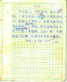 冬天校园下雪的作文二级作文