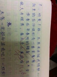 我喜欢的节日作文200字左右,难忘的节日作文200字,春节节日作文200字