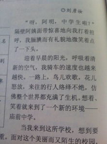 校园生活的辣作文300