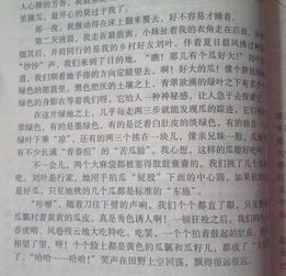 校园之秋的作文儿怎么写500字