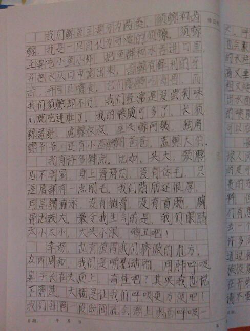 大学校园风景作文1000字