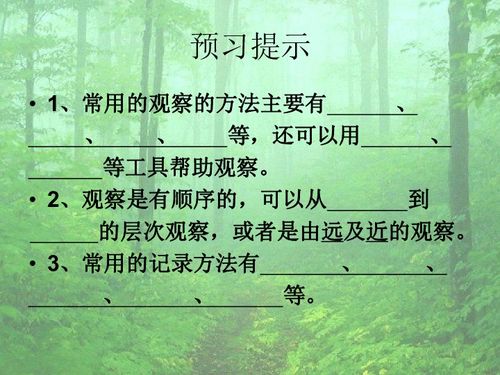 校园的树四季变化作文