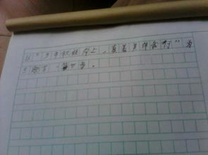 真善美,作文,校园