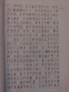 作文,征文,环保,小学