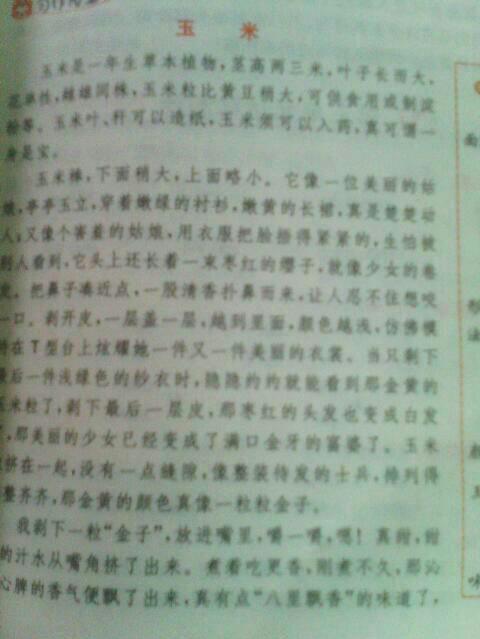 校园的品善园作文
