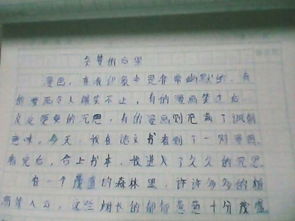 作文,校园里,角落,安静