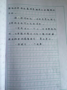 作文校园一景600字初二,校园一景片段作文初二,校园一景操场作文初二