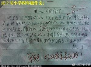 雨后的校园小学生短作文