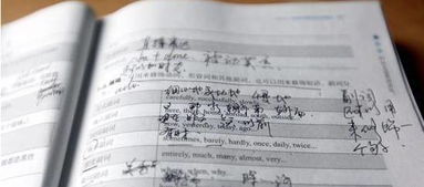 外卖禁入校园的英语作文