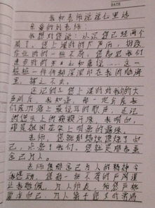 作文,校园里,现象