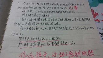 关于校园处处有真情的作文600字