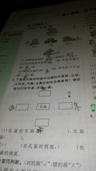 美丽校园的作文3oo个字