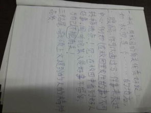 以最美校园为主题作文