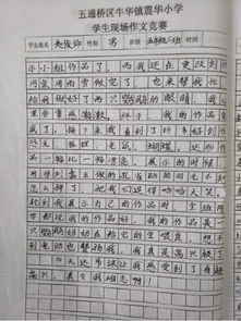 作文,玩转,校园