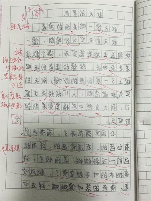 校园里的秋天三级作文400字