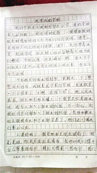我们的中心小学校园作文
